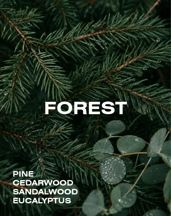 FOREST reed diffuser 150ml (3-5 months)