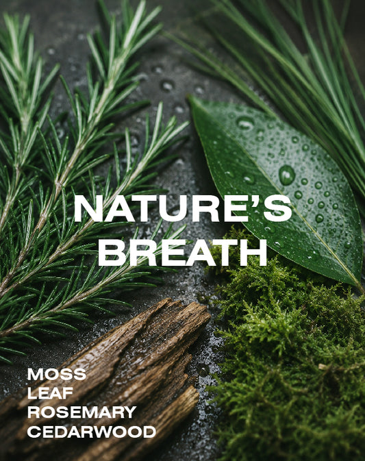 NATURE’S BREATH reed diffuser 150ml (3-5 months)