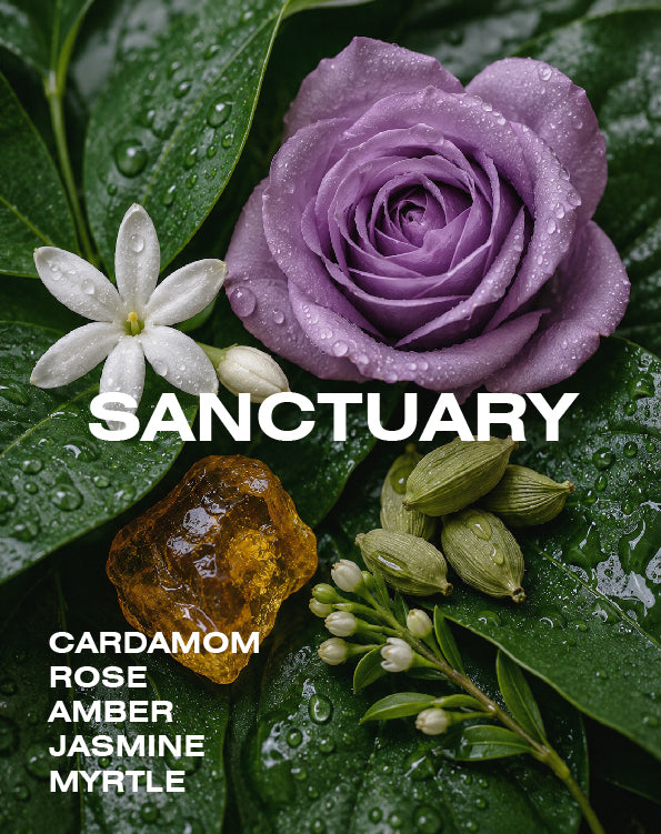 SANCTUARY reed diffuser 150ml (3-5 months)