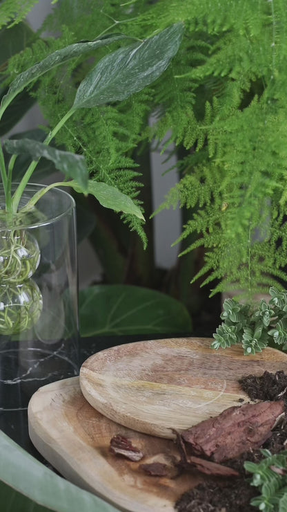 NATURE’S BREATH scented candle